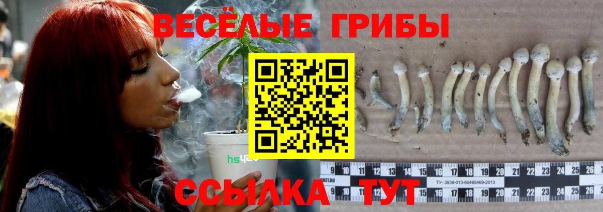Галлюциногенные грибы прущие грибы Бугуруслан
